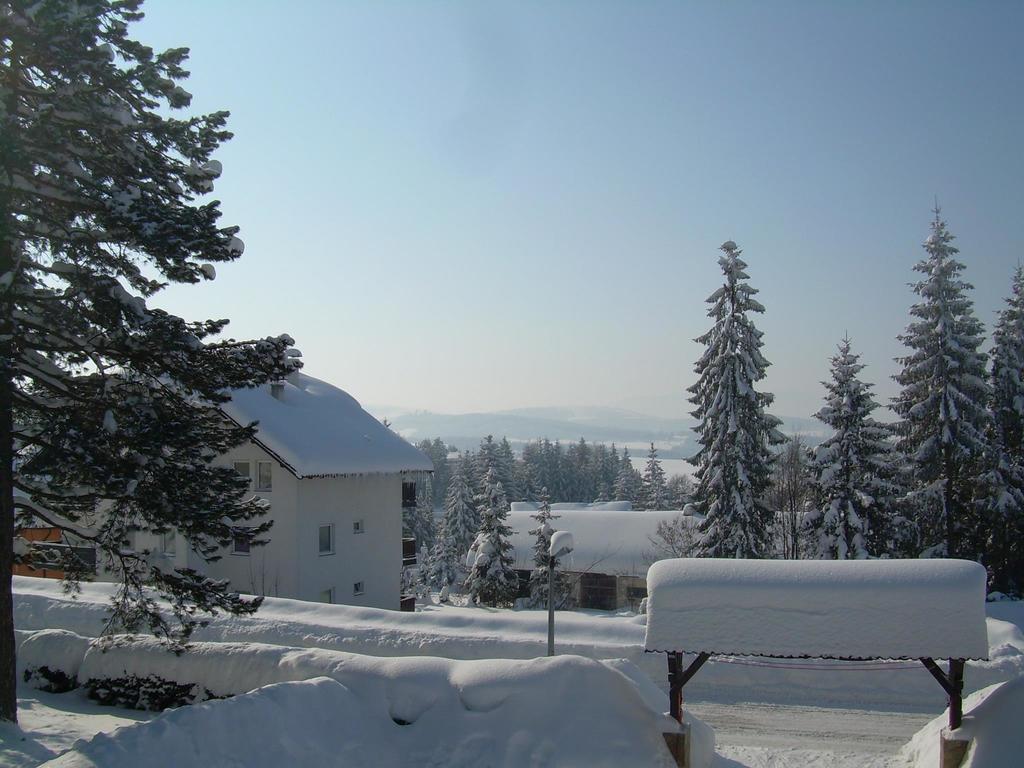 Zlatiborske Brvnare Villa Room photo